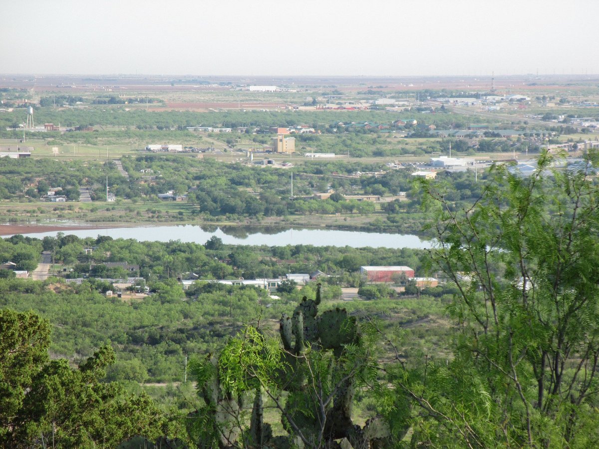 Spring, TX artificial turf projects